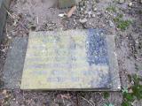 image of grave number 281466